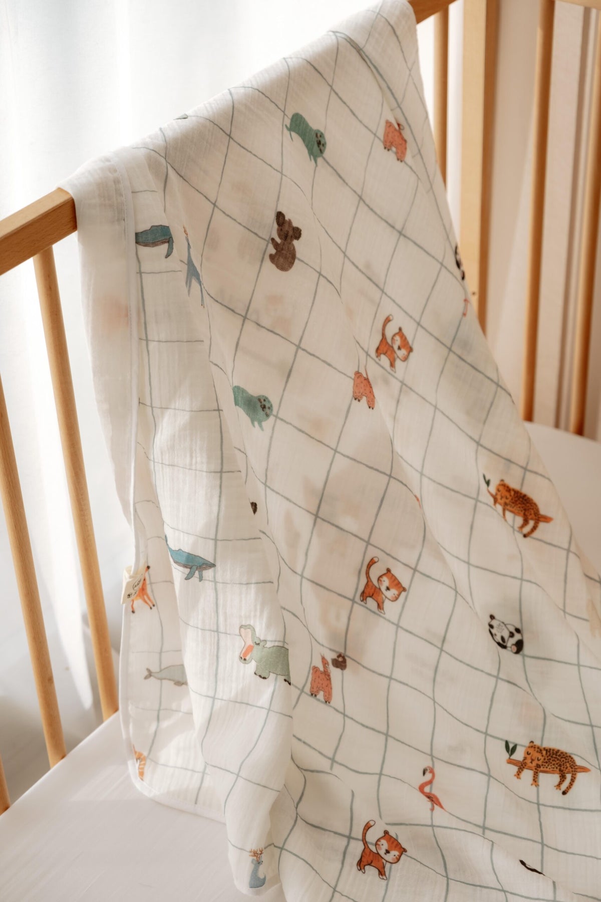 World Map Blanket & Cover