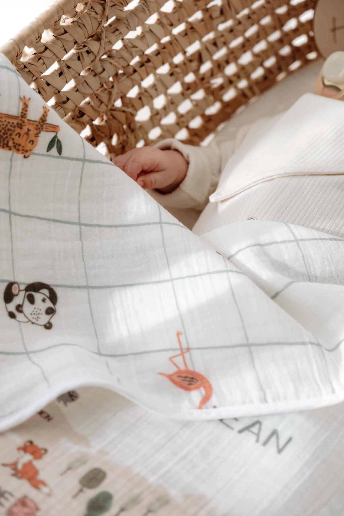 World Map Blanket & Cover product image 3 by Dos Junior
