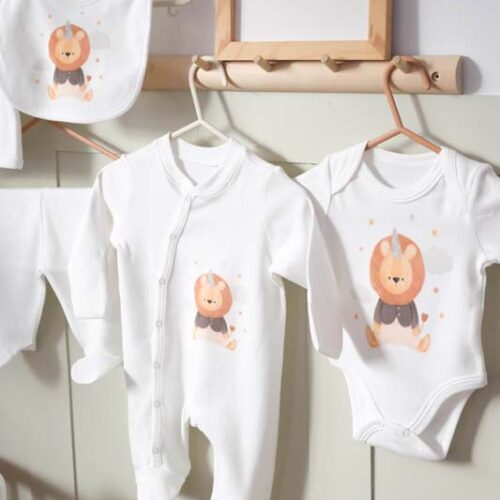 Lion Newborn Coming Outfit (2)