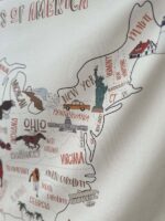 USA Map Tapestry (6)